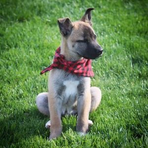 Meet your Posher, Monika